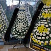 https://ceremonyflower.com/data/editor/2006/thumb-3739796452_2Gd8bwqL_8AB0E1AC-A839-4B4C-B097-2EF1869051BD_100x100.jpg