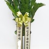 https://ceremonyflower.com/data/editor/2006/thumb-3739796452_EowNG34i_20220829_210226_100x100.jpg