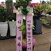 https://ceremonyflower.com/data/editor/2006/thumb-3739796452_fGinwKmd_review-attachment-c841c44a-4e0b-4e4a-8925-6111dc957225_100x100.jpg