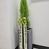 https://ceremonyflower.com/data/editor/2006/thumb-3739796452_foKbVFTx_9D5EED2F-3586-4D1B-BBDA-3C5DCA2F56CA_100x100.jpg