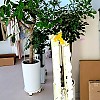 https://ceremonyflower.com/data/editor/2112/thumb-bebb3d514dd6784e31907b3a32b30ef0_1640242405_7206_100x100.jpg