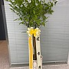 https://ceremonyflower.com/data/editor/2202/thumb-d59f3a1f5c770bd52989fde4e2642341_1645086457_6893_100x100.jpg