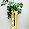 https://ceremonyflower.com/data/editor/2202/thumb-d9705ea6adab2072451457d23f0d4d5e_1644975120_5278_100x100.jpg