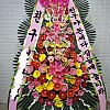 https://ceremonyflower.com/data/editor/2206/thumb-29df542ca89656c5b577fc9bd3759468_1655996506_7394_100x100.jpg