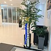 https://ceremonyflower.com/data/editor/2206/thumb-61737b03614489aff94d106ec2667ce2_1656596990_8695_100x100.jpg