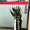 https://ceremonyflower.com/data/editor/2207/thumb-db5e0cecf22d82b93ca13c2e7b693ff4_1657113906_6316_100x100.jpg