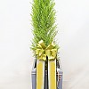 https://ceremonyflower.com/data/editor/2402/thumb-133a997fee846adeb9110fe744bd78aa_1708962027_3475_100x100.jpg