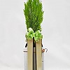 https://ceremonyflower.com/data/editor/2402/thumb-133a997fee846adeb9110fe744bd78aa_1708962041_6389_100x100.jpg