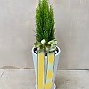 https://ceremonyflower.com/data/editor/2402/thumb-133a997fee846adeb9110fe744bd78aa_1708962146_1232_100x100.jpg