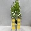 https://ceremonyflower.com/data/editor/2402/thumb-133a997fee846adeb9110fe744bd78aa_1708962171_3632_100x100.jpg