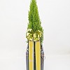 https://ceremonyflower.com/data/editor/2402/thumb-133a997fee846adeb9110fe744bd78aa_1708962212_7186_100x100.jpg
