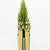 https://ceremonyflower.com/data/editor/2402/thumb-133a997fee846adeb9110fe744bd78aa_1708962263_4926_100x100.jpg