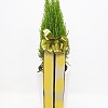 https://ceremonyflower.com/data/editor/2402/thumb-133a997fee846adeb9110fe744bd78aa_1708962284_946_100x100.jpg