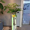 https://ceremonyflower.com/data/editor/2402/thumb-2732fcc8fa99e579cf62208c519e2be3_1708790956_2669_100x100.jpg
