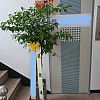 https://ceremonyflower.com/data/editor/2402/thumb-2732fcc8fa99e579cf62208c519e2be3_1708791037_3172_100x100.jpg