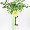https://ceremonyflower.com/data/editor/2402/thumb-2732fcc8fa99e579cf62208c519e2be3_1708791138_4383_100x100.jpg