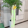 https://ceremonyflower.com/data/editor/2402/thumb-2732fcc8fa99e579cf62208c519e2be3_1708791160_821_100x100.jpg
