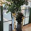 https://ceremonyflower.com/data/editor/2402/thumb-2732fcc8fa99e579cf62208c519e2be3_1708791243_1645_100x100.jpg