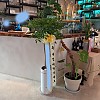 https://ceremonyflower.com/data/editor/2402/thumb-2732fcc8fa99e579cf62208c519e2be3_1708791311_7749_100x100.jpg