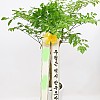 https://ceremonyflower.com/data/editor/2402/thumb-2732fcc8fa99e579cf62208c519e2be3_1708791336_9034_100x100.jpg