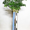 https://ceremonyflower.com/data/editor/2402/thumb-2732fcc8fa99e579cf62208c519e2be3_1708791407_2481_100x100.jpg