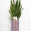 https://ceremonyflower.com/data/editor/2402/thumb-aaa3ffcc7748424dc1831b5b82d8c8b7_1708882881_4439_100x100.jpg