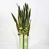 https://ceremonyflower.com/data/editor/2402/thumb-aaa3ffcc7748424dc1831b5b82d8c8b7_1708883251_6616_100x100.jpg