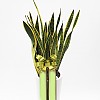 https://ceremonyflower.com/data/editor/2402/thumb-aaa3ffcc7748424dc1831b5b82d8c8b7_1708883263_5126_100x100.jpg