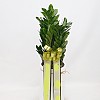 https://ceremonyflower.com/data/editor/2402/thumb-f9f113a3a0ef73df938ff225994d5e48_1708774264_6101_100x100.jpg