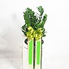 https://ceremonyflower.com/data/editor/2402/thumb-f9f113a3a0ef73df938ff225994d5e48_1708774361_7645_100x100.jpg