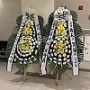 https://ceremonyflower.com/data/editor/2403/thumb-ac5fe4cba61585b51bfe26465b54273c_1709607762_7692_100x100.jpg