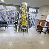https://ceremonyflower.com/data/editor/2403/thumb-cc24f49dc1dc04afbcc3692f65b02693_1709574766_6953_100x100.jpg