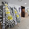 https://ceremonyflower.com/data/editor/2403/thumb-cc24f49dc1dc04afbcc3692f65b02693_1709574829_4084_100x100.jpg
