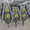 https://ceremonyflower.com/data/editor/2403/thumb-cc24f49dc1dc04afbcc3692f65b02693_1709575258_4114_100x100.jpg