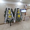 https://ceremonyflower.com/data/editor/2403/thumb-cc24f49dc1dc04afbcc3692f65b02693_1709575339_0633_100x100.jpg