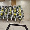 https://ceremonyflower.com/data/editor/2403/thumb-cc24f49dc1dc04afbcc3692f65b02693_1709575511_5626_100x100.jpg