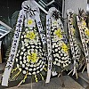 https://ceremonyflower.com/data/editor/2403/thumb-cc24f49dc1dc04afbcc3692f65b02693_1709575729_3532_100x100.jpg