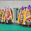 https://ceremonyflower.com/data/editor/2408/thumb-dc77b2db0ebd32443ad7eb175954645b_1723366145_135_100x100.png