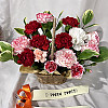 https://ceremonyflower.com/data/editor/2504/thumb-2da7c500123f06fc4e6a479b7776878f_1744814758_5759_100x100.jpg
