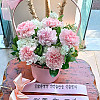 https://ceremonyflower.com/data/editor/2504/thumb-2da7c500123f06fc4e6a479b7776878f_1744820043_0238_100x100.jpg