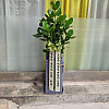 https://ceremonyflower.com/data/editor/2504/thumb-b6b4e6053997802030f1c7a16f0e660c_1744511863_7172_100x100.jpg