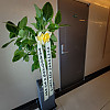 https://ceremonyflower.com/data/editor/2504/thumb-b6b4e6053997802030f1c7a16f0e660c_1744512104_5054_100x100.jpg