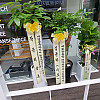 https://ceremonyflower.com/data/editor/2504/thumb-d92caa5a3fc3118b1371e60ac8a2d848_1744786524_4127_100x100.jpg