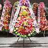 https://ceremonyflower.com/data/editor/2506/thumb-f046d13ff6ae159e57074bdce68d79f1_1749947528_9116_100x100.jpg