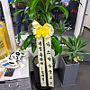 https://ceremonyflower.com/data/editor/2507/thumb-aa6d75f7622344af14cb9a2977b3ebfb_1752559749_7611_100x100.jpg