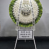 https://ceremonyflower.com/data/editor/2606/thumb-5ebf3f054396feff8c2d967c2d9a4e00_1780730071_1462_100x100.jpg