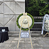 https://ceremonyflower.com/data/editor/2606/thumb-5ebf3f054396feff8c2d967c2d9a4e00_1780730323_4008_100x100.jpg