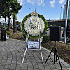 https://ceremonyflower.com/data/editor/2606/thumb-5ebf3f054396feff8c2d967c2d9a4e00_1780730564_8146_100x100.jpg