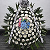 https://ceremonyflower.com/data/editor/2606/thumb-ae373baa60b9118a3762a33b9f45a5a8_1780815160_9463_100x100.jpg