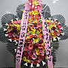 https://ceremonyflower.com/data/editor/2606/thumb-ee15e08c308b07c29987270e8c81bcc4_1781750215_3122_100x100.png